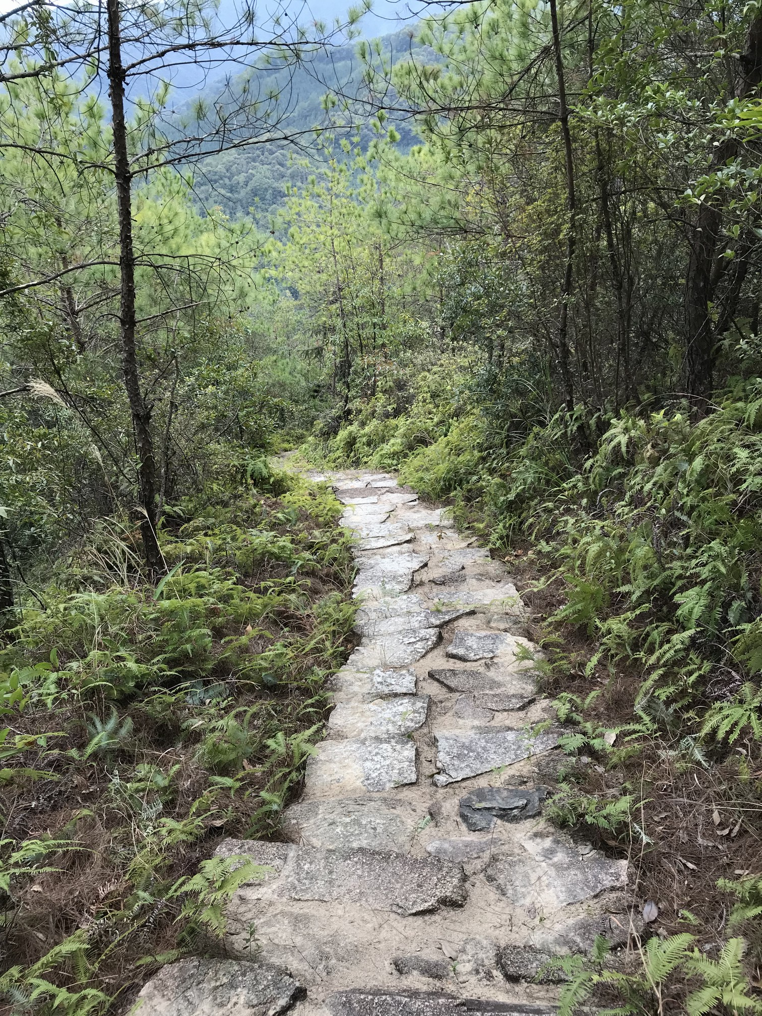 粤赣古道（平远段）。图片选自“打卡广东红”小程序