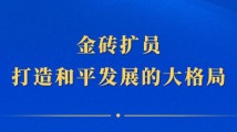 金砖扩员:打造和平发展的大格局 金砖扩员:打造和平发展的大格局