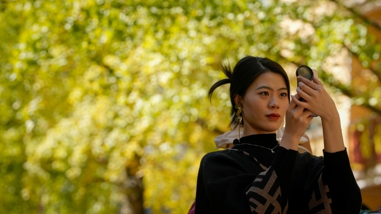 广东秋色“天花板”，韶关南雄银杏迎来最佳观赏期