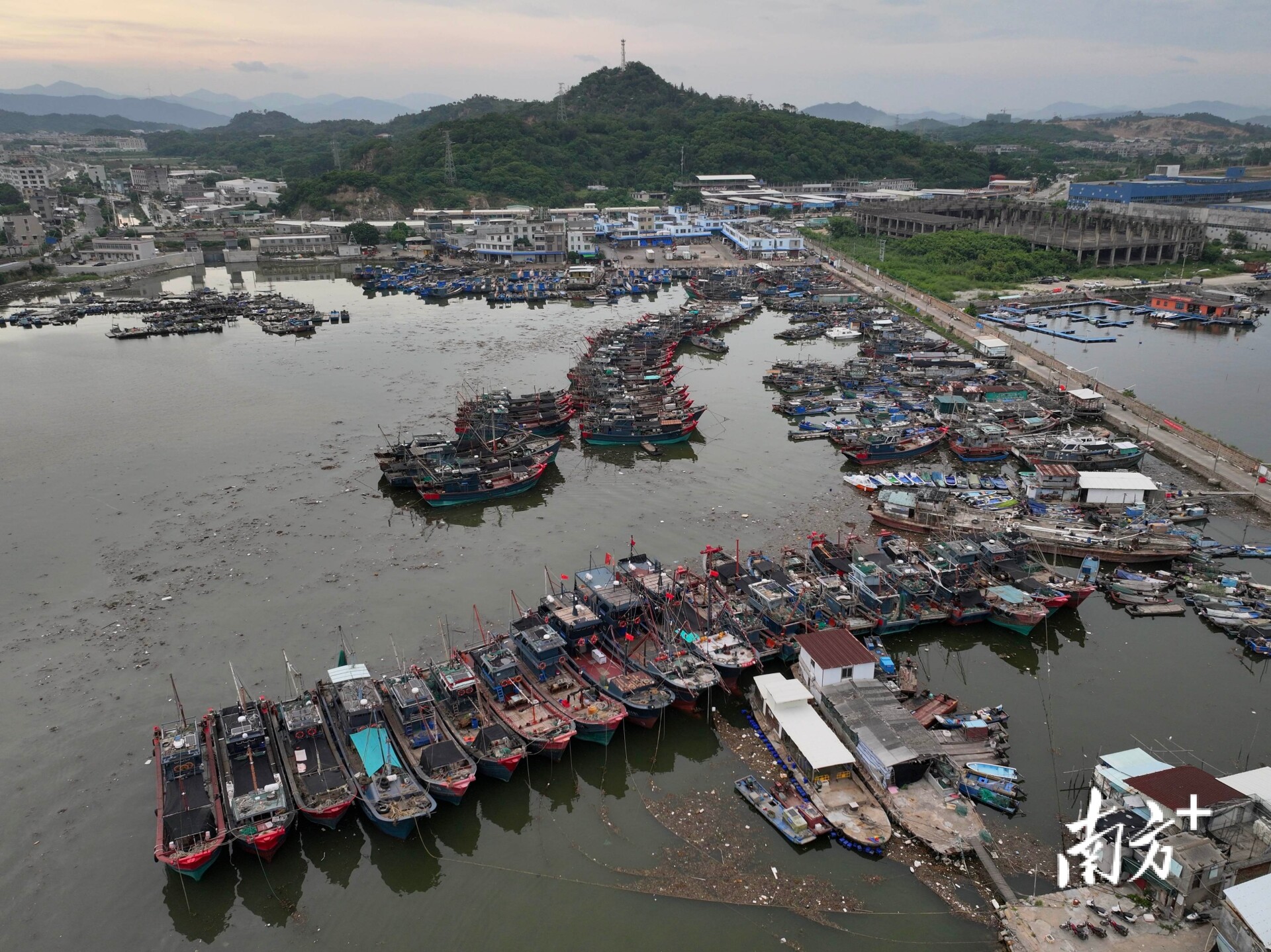台风“杨柳”逼近，探访潮州饶平柘林一线防风现场