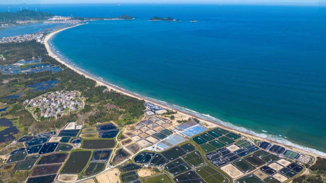 向海图强、挺进深蓝！广东全面推进海洋强省建设再上新台阶