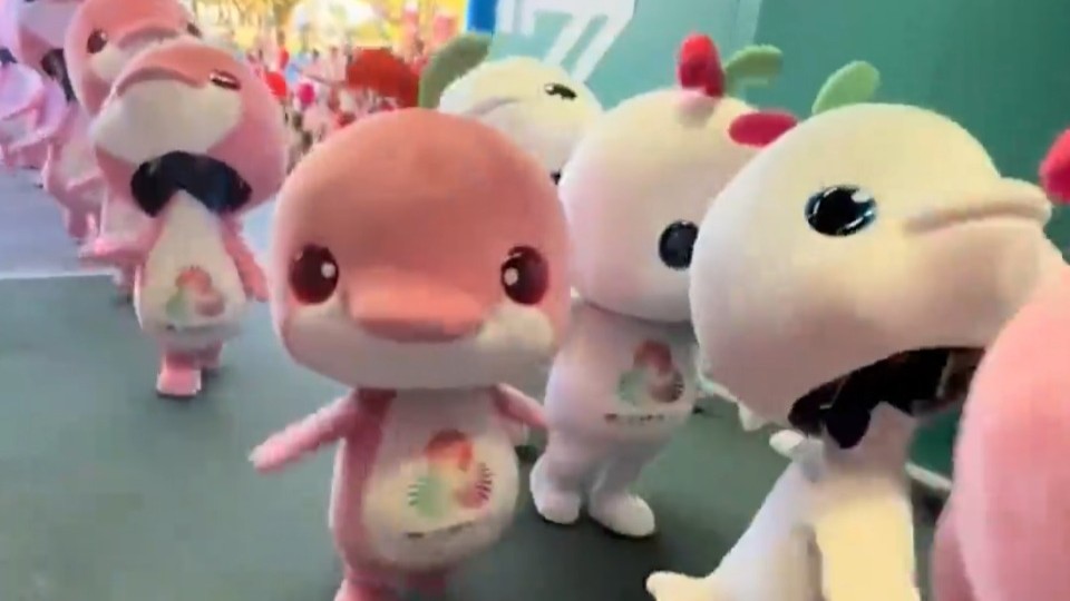 Mascots of 15th National Games win hearts across China