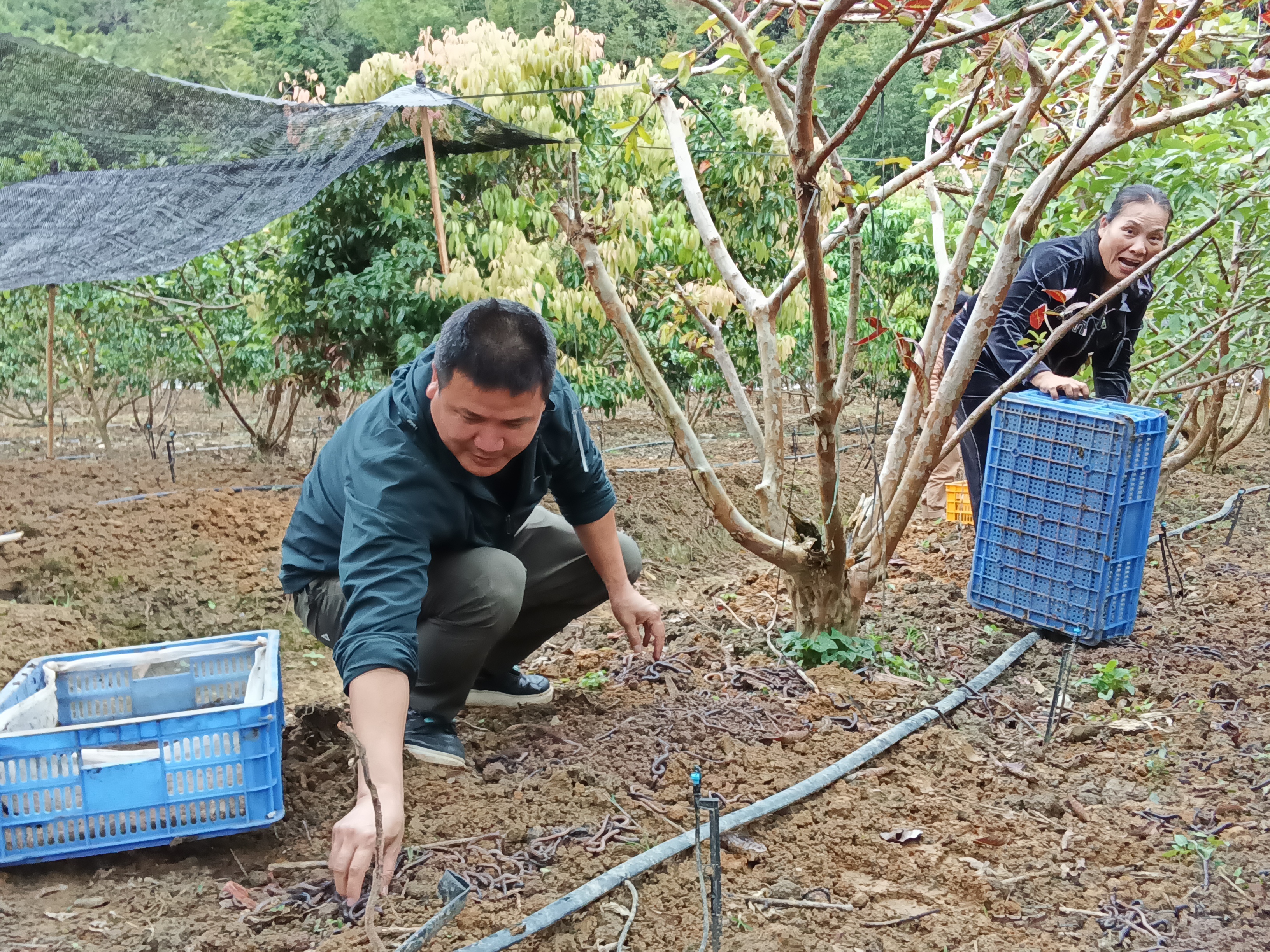 郁南县千官镇“双轮驱动”走出产业升级新路径