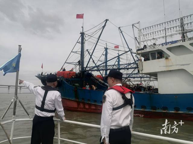 配图  通讯员 通讯员 供图