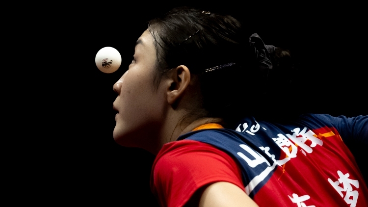 拼搏者的身影，是赛场最亮丽的风景｜十五运会每日图片（11月11日）