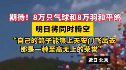 期待！8万只气球和8万羽和平鸽明日将同时腾空