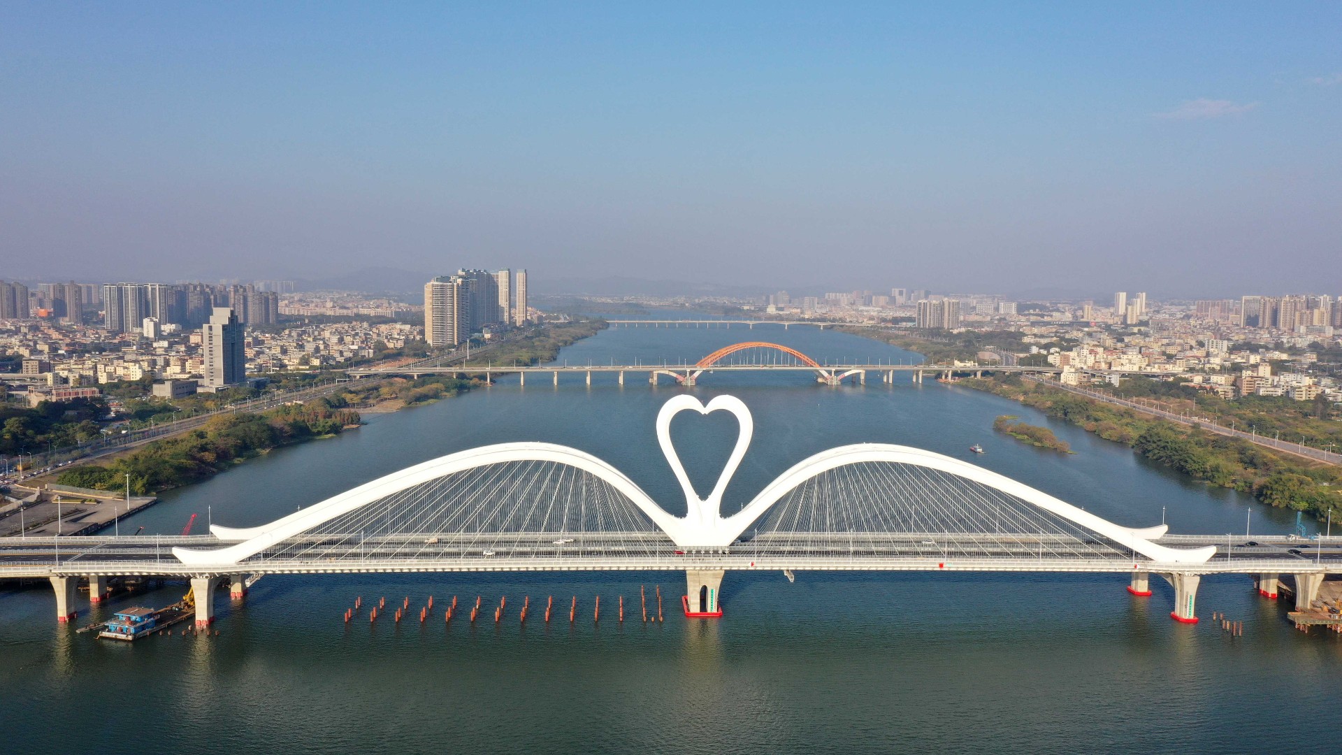 common cover image