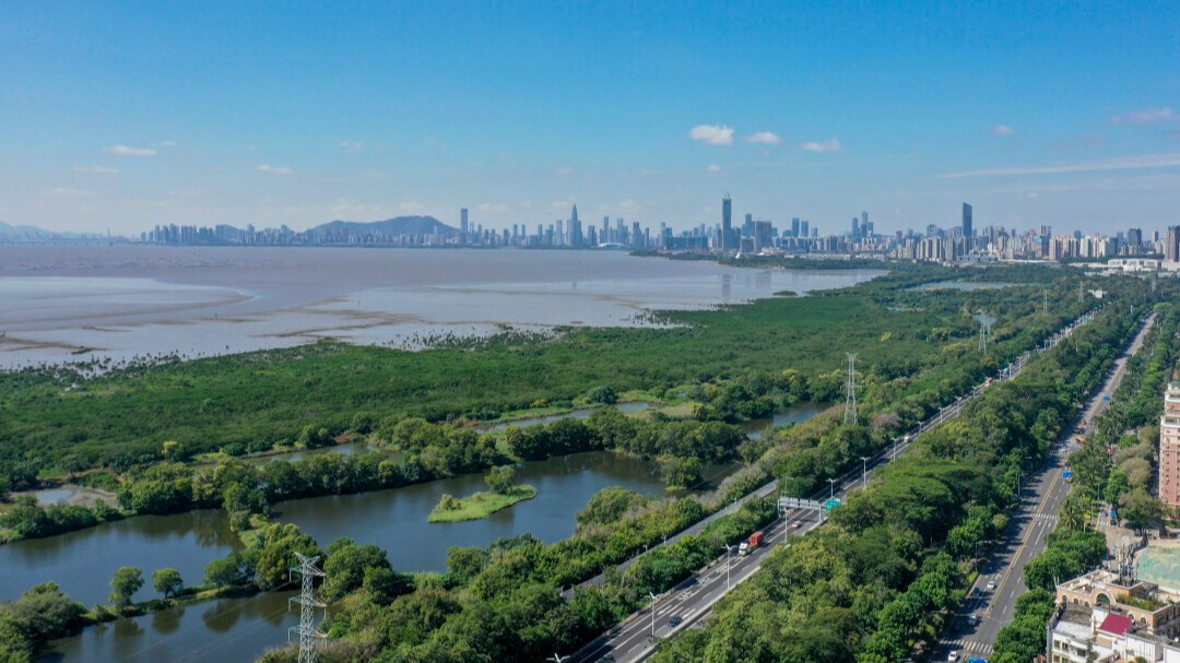 Shenzhen aims to become world-class coastal wetland city by 2035