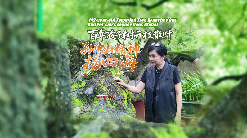 142-year-old tamarind tree branches out, Sun Yat-sen's legacy goes global