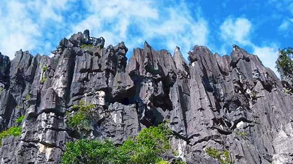 Thousands of peaks stand tall, like forest from afar