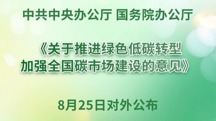 事关全国碳市场建设，中办、国办重磅文件对外公布