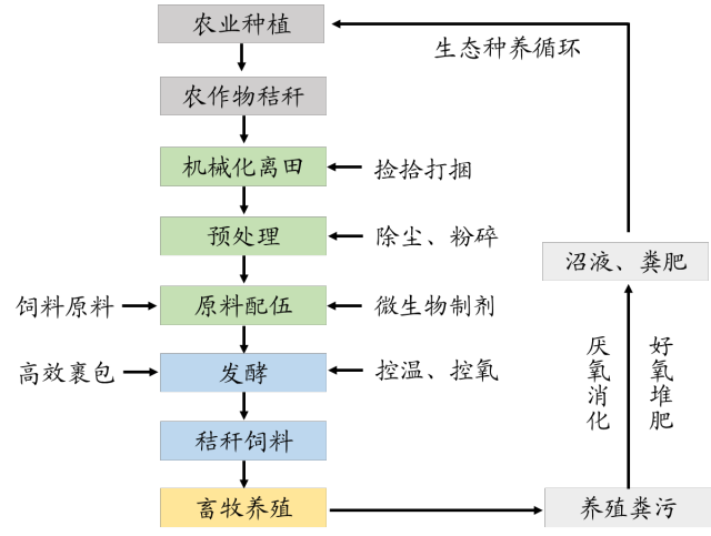“绿色生态-种养结合”循环模式技术路线