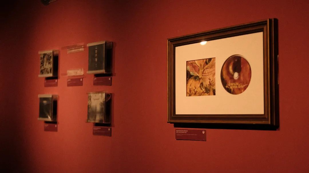 Rare records from across China on display in Dongguan