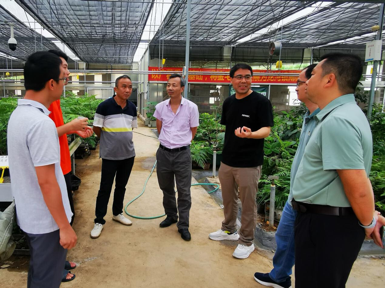 罗定市龙湾镇邀科技特派员“把脉问诊” ，为南药产业注入新动能