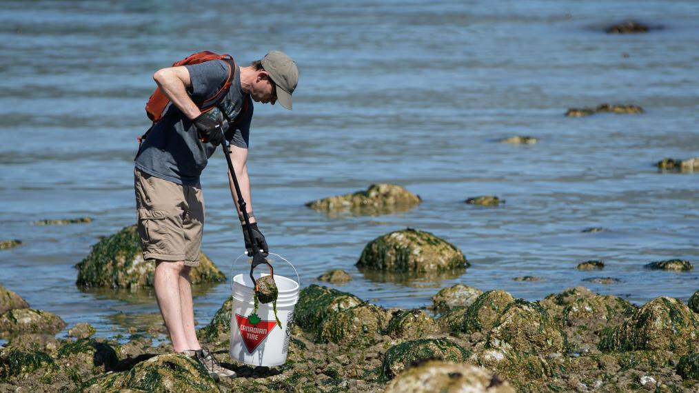 Shore cleanup event held to mark World Oceans Day