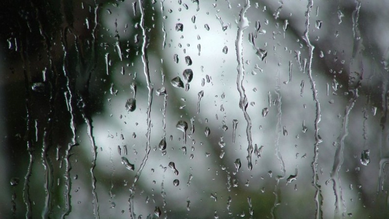 云浮市应急部门积极应对大风雷雨天气 提前做好防汛防风准备