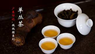 遇见树叶的故事——凤凰单丛茶