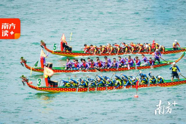 6月20日，粤港澳大湾区（深圳南澳）海上龙舟赛首日赛举行。 南方+记者 朱洪波 摄