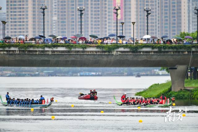 6月17日，清远市第十七届龙舟锦标赛在清城区江心岛河段举行。 南方+记者 曾亮超 摄