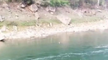 贵州两名教师为迎接检查捡鹅卵石溺亡?校长回应:与迎检无关 贵州两名教师为迎接检查捡鹅卵石溺亡?校长回应:与迎检无关