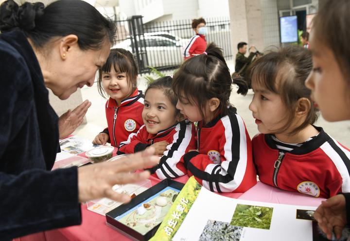 　　2024年4月16日，在新疆乌鲁木齐市天山区南湾街街道，昌乐园幼儿园的小朋友在老师的讲解下了解春蚕的生长过程。谷雨节气将至，乌鲁木齐市一些社区纷纷开展形式多样的主题活动，让市民了解有关谷雨节气的知识，体验传统文化的魅力。