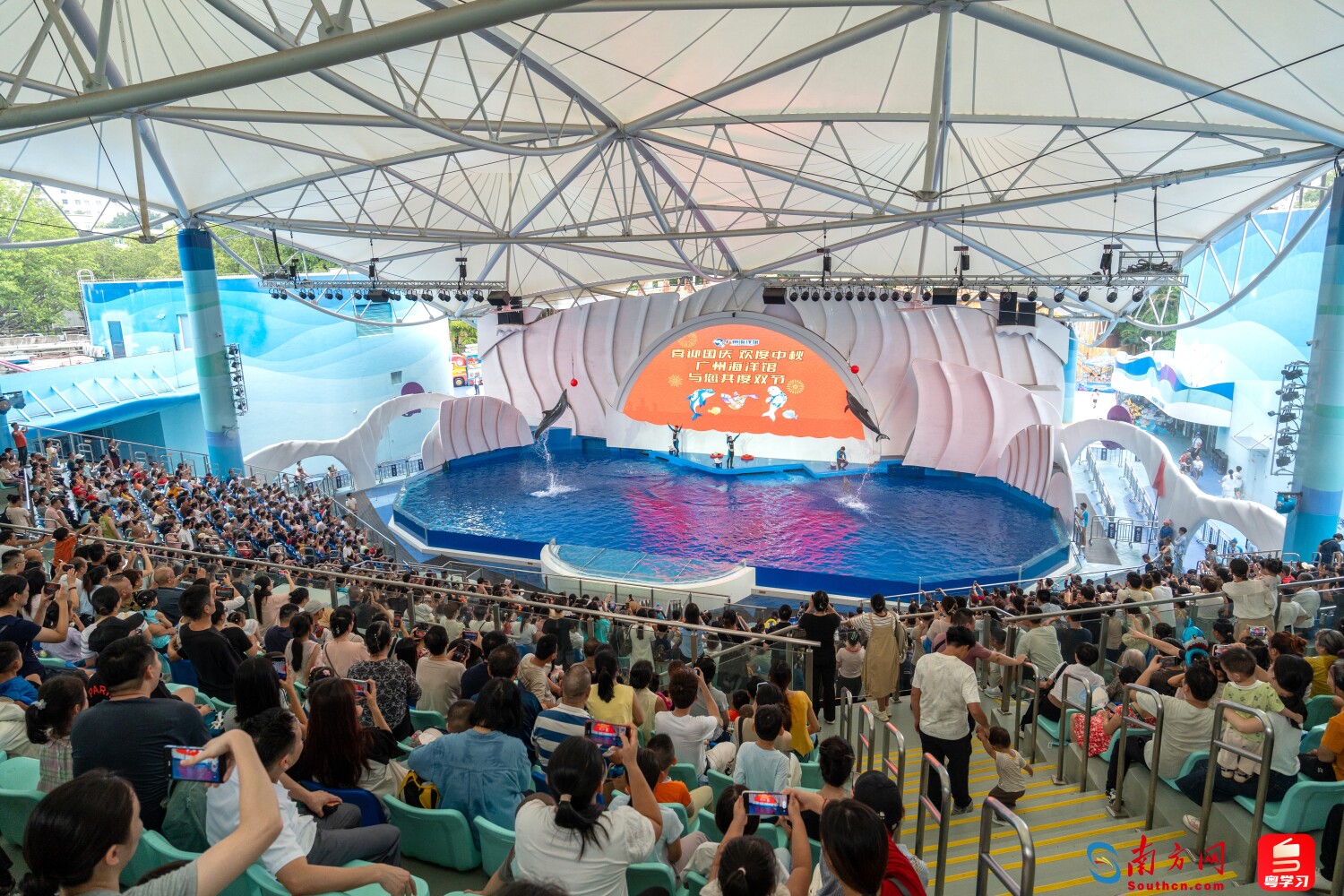  广州市海洋馆推出“海洋动物全运会”