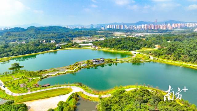迳野漾彩(迳下乡村旅游景区)。 迳野漾彩(迳下乡村旅游景区)。
