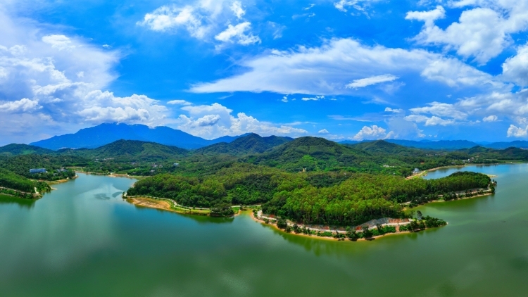 满眼皆绿，看绿美广东生态建设三年之变