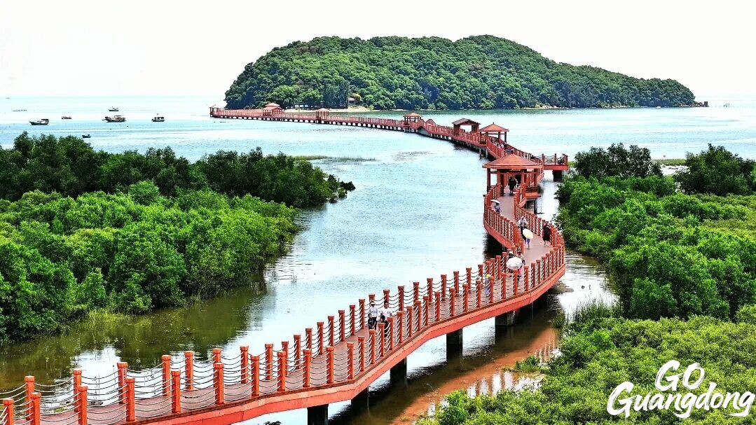 Yangjiang's wetland park showcases mangrove biodiversity
