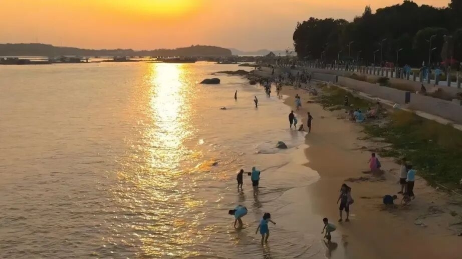 【百千万 粤改行】乡村运营的“饶平路径”：激活乡村新动力，全年旅游收入超10亿元