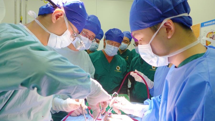 More deceased organ donors in China in 2024: report