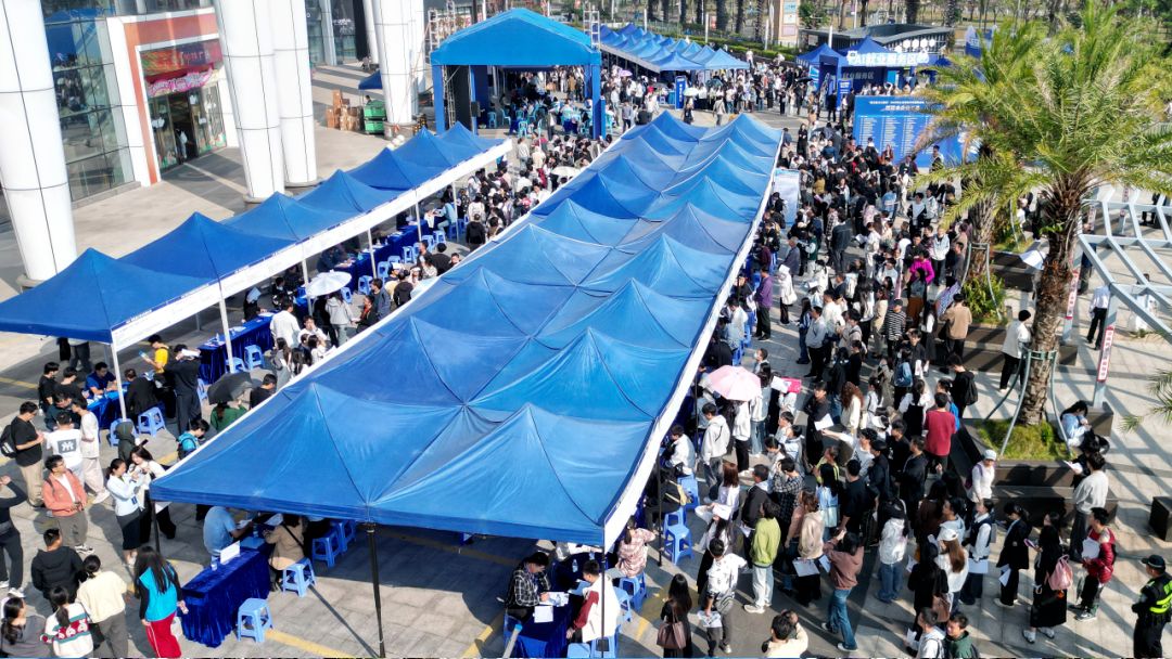 “1+20”携手送岗！“百万英才汇南粤”2025年全省联动专项招聘活动启幕