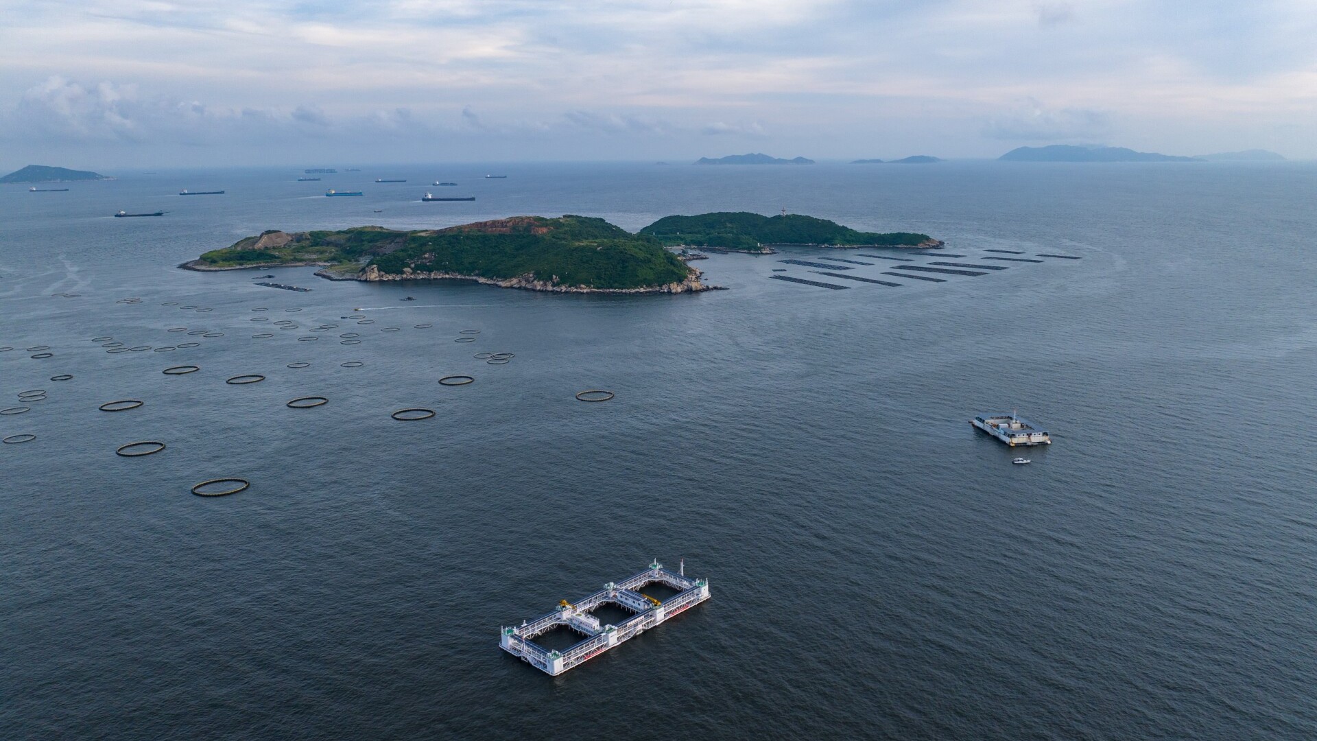 Innovation hailed as key to success for Guangdong's fishing industry