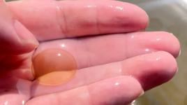 这些“爆爆珠”，千万不要碰，可能带病菌！广东海边已出现