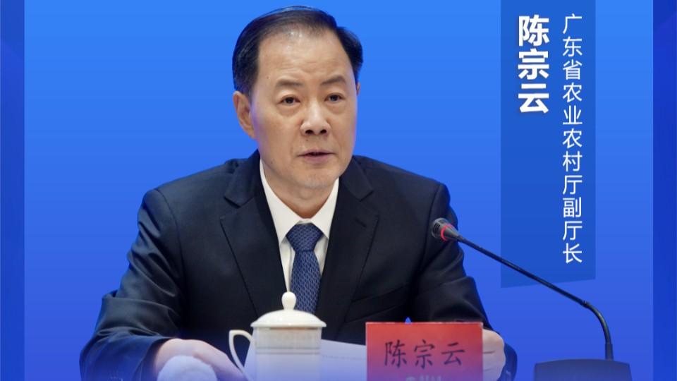 约占全国一半！2024年广东海水鱼苗产量达67.96亿尾