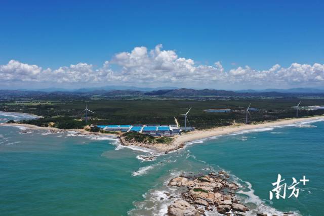 陆丰海洋经济种业产业园。资料图片