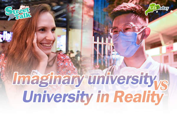 Street Talk | Imaginary university VS The University in reality
