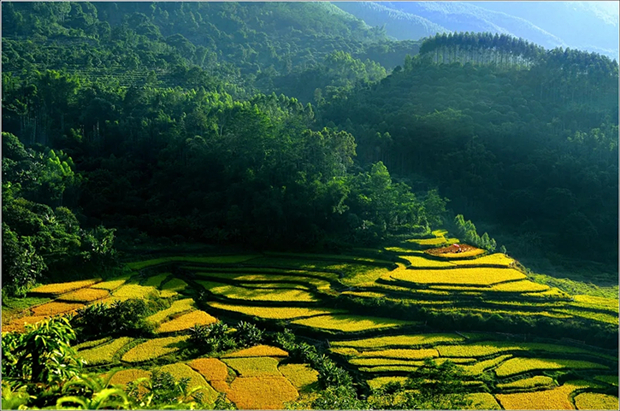 Recommended countryside tours to have fun in Guangzhou