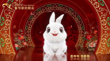 2023年总台春晚官方吉祥物“兔圆圆”正式发布！