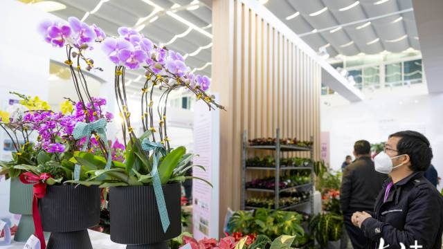 2nd Guangzhou Intl (Liuxi) Flower Expo kicks off in Conghua