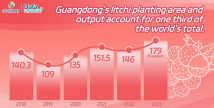 Data Explorer | One in every three litchis in the world comes from Guangdong Data Explorer | One in every three litchis in the world comes from Guangdong