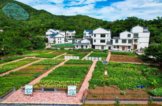 南方日报记者 何森垚 摄