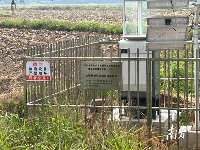 在田间安装的智慧型病虫害监测系统