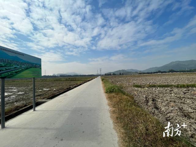路面工程由简易土路改建为市政标准混凝土路面
