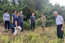 山林里的勘察 山林里的勘察