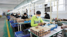 江门蓬江:使出“虎力”起好步 江门蓬江:使出“虎力”起好步