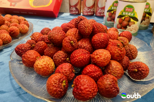 Maoming leads east, west, north Guangdong in GDP during 14th Five-Year Plan