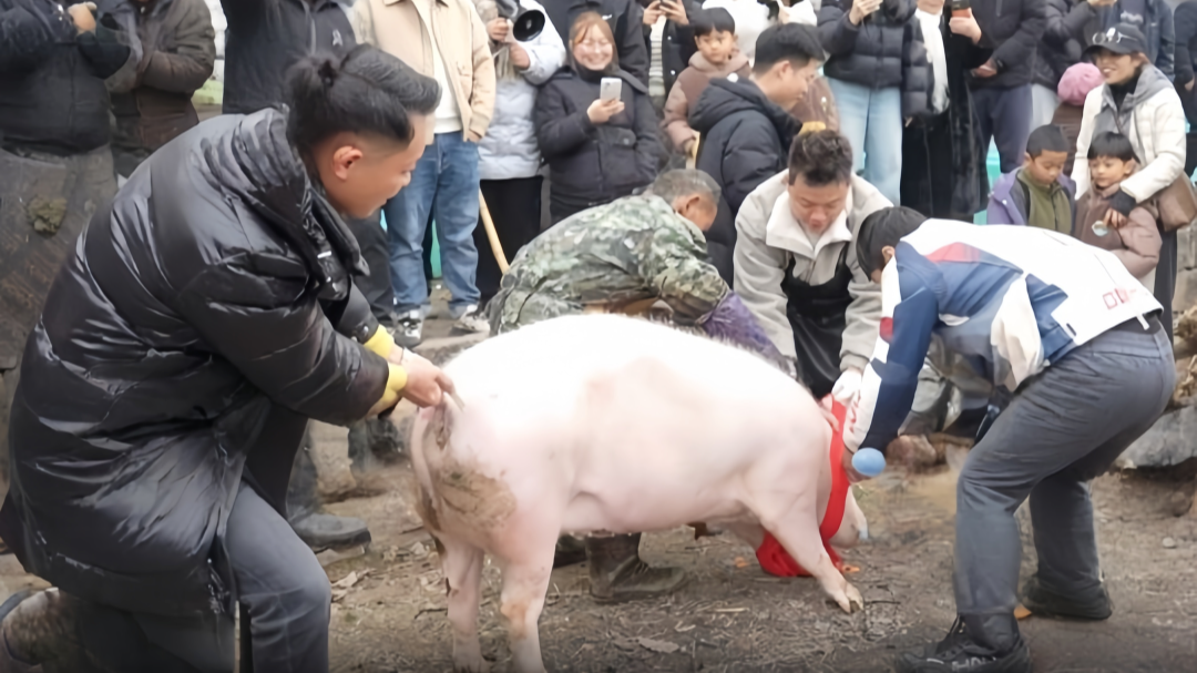 一场杀猪宴，唤醒人间烟火的暖意