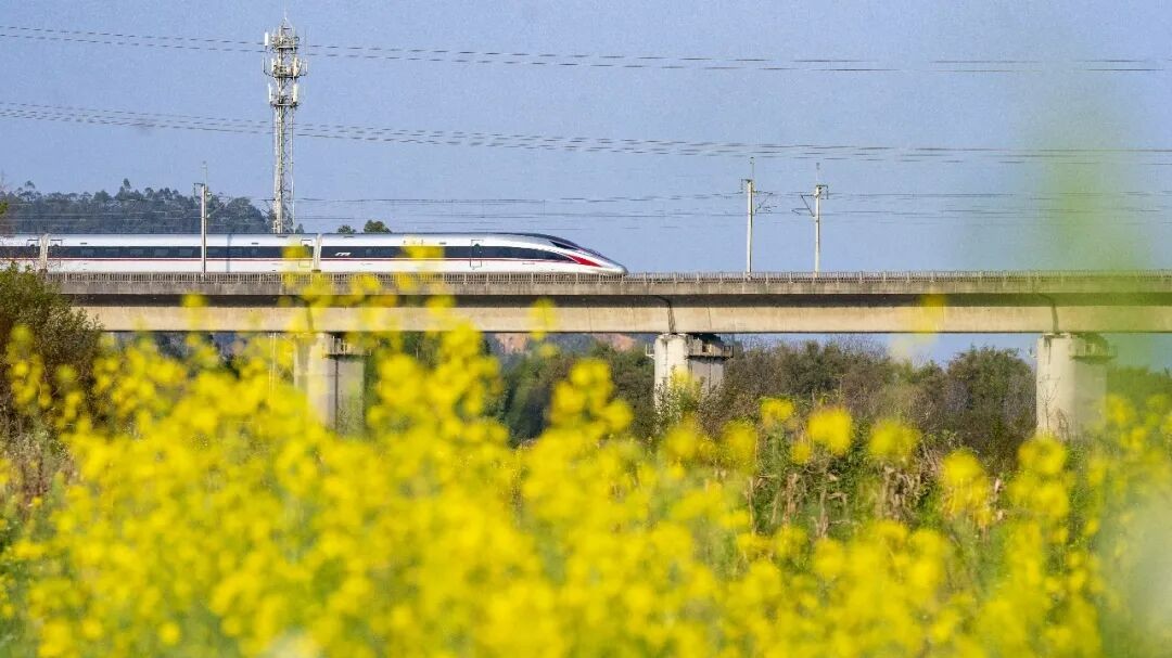 Direct high-speed rail linking Qingyuan and Hong Kong to start operation on January 26