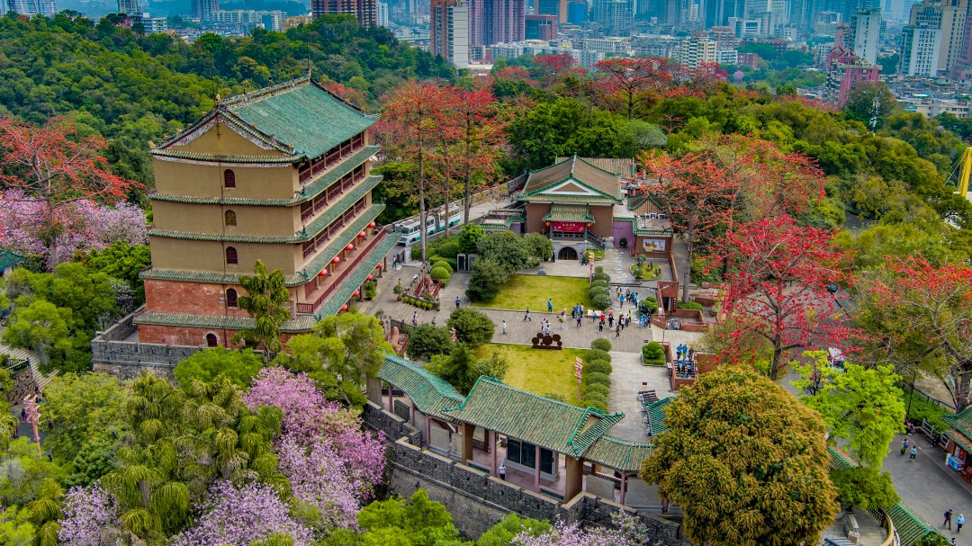 Museums announce 2026 free admission schedules and major exhibition highlights